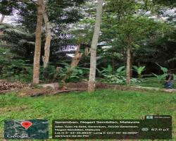 PEMBERSIHAN TANAH TERBIAR