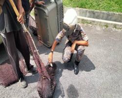 OPS MENYELAMATKAN HAIWAN TERBIAR