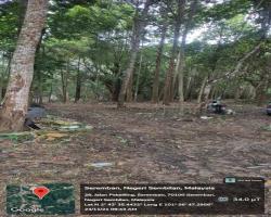 PEMANTAUAN PEMBERSIHAN TANAH TERBIAR