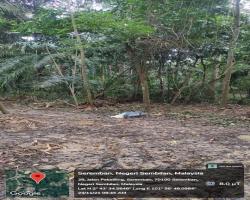 PEMANTAUAN PEMBERSIHAN TANAH TERBIAR