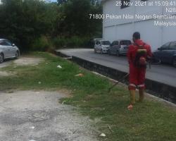 KAWASAN PARKING PASAR SEMARAK NILAI