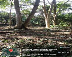 GALERI DIRAJA TUANKU JAAFAR, SEREMBAN.