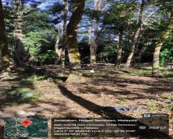 GALERI DIRAJA TUANKU JAAFAR, SEREMBAN.