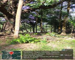 GALERI DIRAJA TUANKU JAAFAR, SEREMBAN.