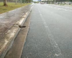 PEMBERSIHAN JALAN-JALAN SELIAAN JKR