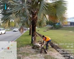 PEMBERSIHAN JALAN-JALAN SELIAAN JKR 