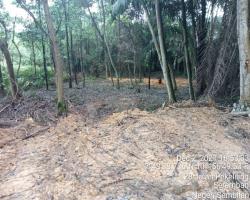 GALERI DIRAJA TUANKU JAAFAR, SEREMBAN.