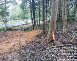 GALERI DIRAJA TUANKU JAAFAR, SEREMBAN.