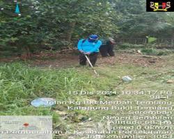 PEMANTAUAN KERJA-KERJA PENYELENGGARAAN RUMPUT 