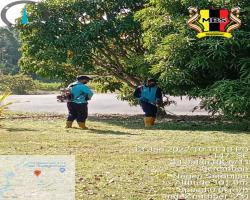 KERJA-KERJA PENYELENGGARAAN RUMPUT