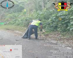 KERJA-KERJA KAWALAN VEKTOR