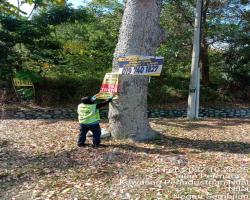 KERJA-KERJA MEMBUKA PAPAN IKLAN/BUNTING/BANNER HARAM