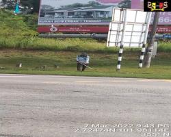 PENYELENGGARAAN RUMPUT 