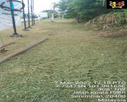 PENYELENGGARAAN RUMPUT 