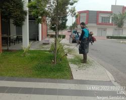 KERJA-KERJA PEMOTONGAN RUMPUT