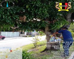 KERJA-KERJA MEMBUKA PAPAN IKLAN/BANTING/"BANNER" TIDAK SAH DAN TAMAT TEMPOH