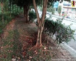 PEMBERSIHAN JALAN-JALAN SELIAAN JKR