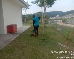 KERJA-KERJA PEMOTONGAN RUMPUT