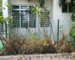 ADUAN MENGENAI KACAUGANGGU SEMAK SAMUN