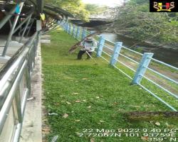 KERJA-KERJA PENYELENGGARAAN RUMPUT 