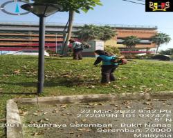 KERJA-KERJA PENYELENGGARAAN RUMPUT 