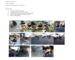 TANGKAPAN ANJING SEPANJANG BULAN JANUARI 2022