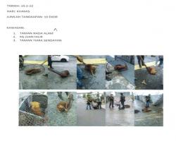 LAPORAN TANGKAPAN ANJING SEPANJANG BULAN FEBRUARI 2022