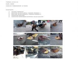 TANGKAPAN ANJING SEPANJANG BULAN JANUARI 2022