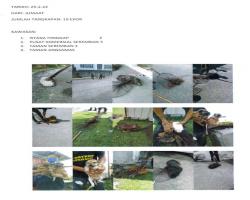 LAPORAN TANGKAPAN ANJING SEPANJANG BULAN FEBRUARI 2022