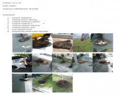 LAPORAN TANGKAPAN ANJING SEPANJANG BULAN FEBRUARI 2022