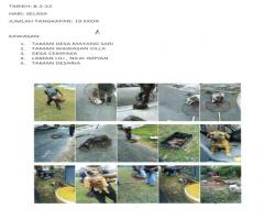 LAPORAN TANGKAPAN ANJING SEPANJANG BULAN FEBRUARI 2022