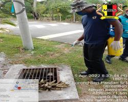 KERJA-KERJA KAWALAN VEKTOR