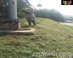 KERJA-KERJA PENYELENGGARAAN RUMPUT