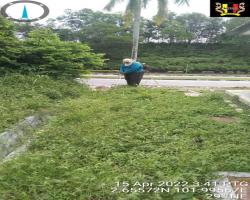 KERJA-KERJA PEMOTONGAN RUMPUT