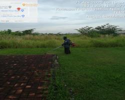 KERJA-KERJA PENYELENGGARAAN RUMPUT