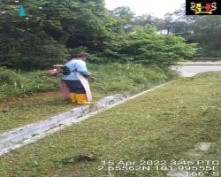 KERJA-KERJA PEMOTONGAN RUMPUT