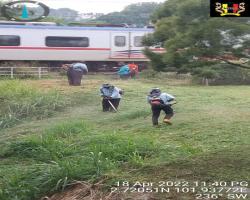 KERJA-KERJA PEMOTONGAN RUMPUT