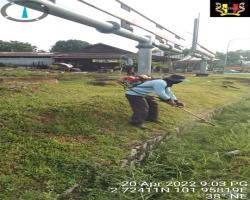  KERJA-KERJA PENYELENGGARAAN RUMPUT