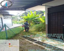  KERJA-KERJA PENYELENGGARAAN RUMPUT