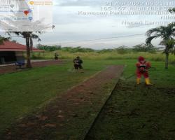 KERJA-KERJA PENYELENGGARAAN RUMPUT