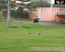 KERJA-KERJA PEMOTONGAN RUMPUT