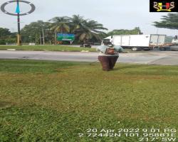  KERJA-KERJA PENYELENGGARAAN RUMPUT