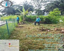  KERJA-KERJA PENYELENGGARAAN RUMPUT