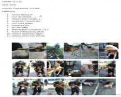 LAPORAN TANGKAPAN ANJING SEPANJANG BULAN FEBRUARI 2022