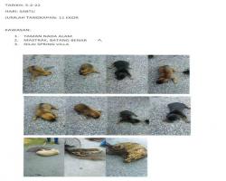 LAPORAN TANGKAPAN ANJING SEPANJANG BULAN FEBRUARI 2022