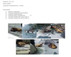 LAPORAN TANGKAPAN ANJING SEPANJANG BULAN FEBRUARI 2022