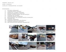 TANGKAPAN ANJING SEPANJANG BULAN JANUARI 2022