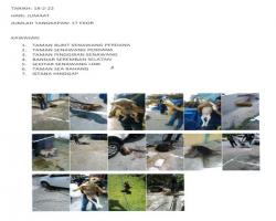 LAPORAN TANGKAPAN ANJING SEPANJANG BULAN FEBRUARI 2022