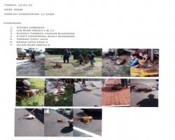 TANGKAPAN ANJING SEPANJANG BULAN JANUARI 2022