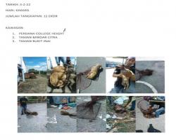 LAPORAN TANGKAPAN ANJING SEPANJANG BULAN FEBRUARI 2022